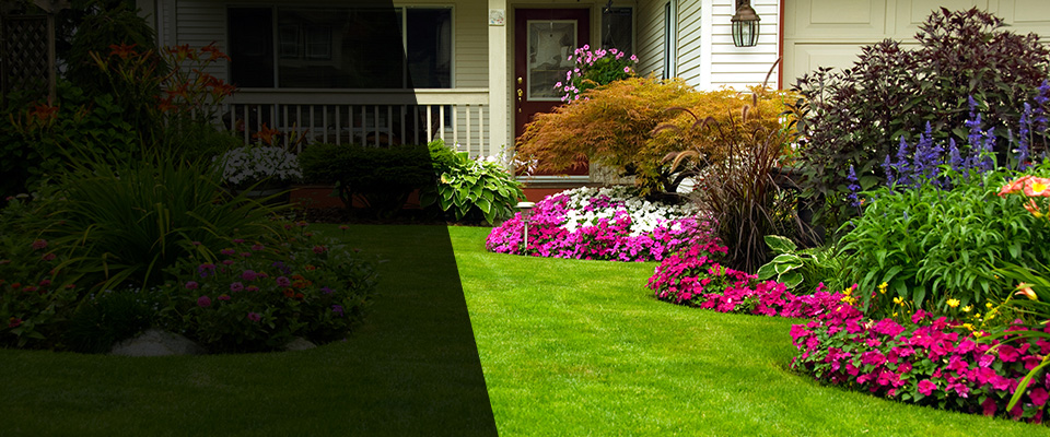 Bayport Landscapers