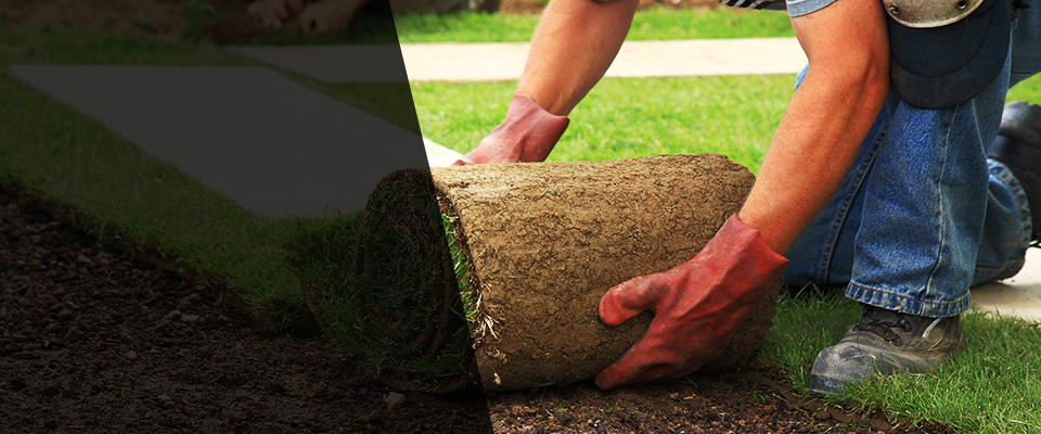Bayport Landscapers